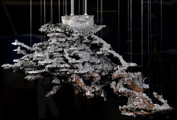 巨型牛蚁巢的铝制复制品，昆士兰博物馆展览的明星